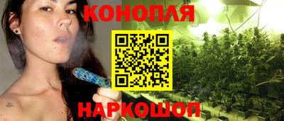 гашик Свободный