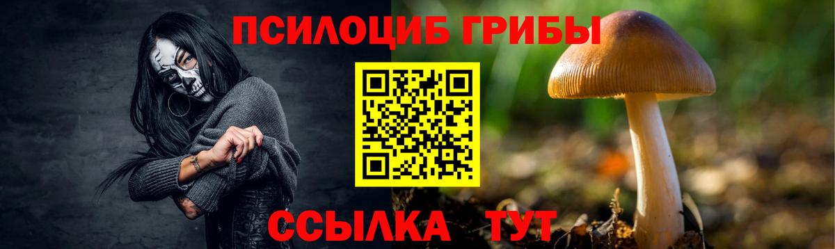Псилоцибиновые грибы MAGIC MUSHROOMS  Вход с VPN  Галлюциногенные грибы мицелий  где можно купить   Рассказово 
